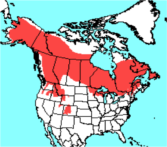canada lynx range map