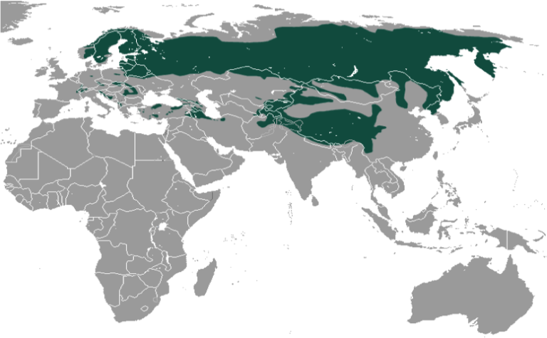 LYNX: additional resources | Bioscience Resource Project